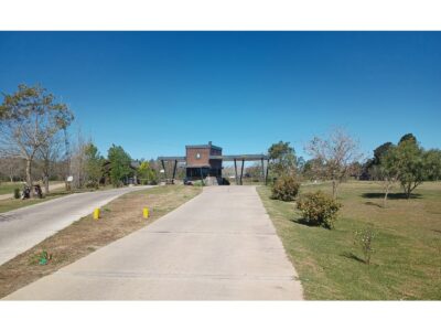 Campo Timbo · Oliveros · Terreno · Venta