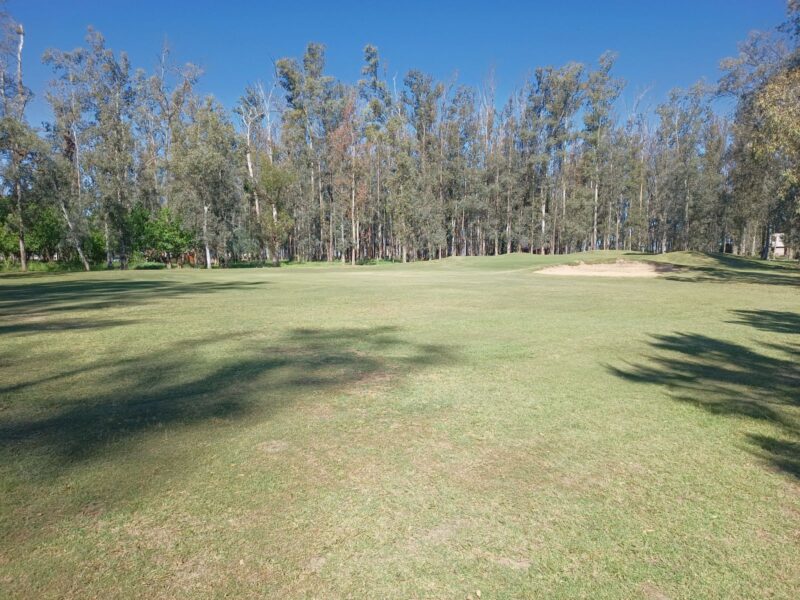 Campo Timbo · Oliveros · Terreno · Venta