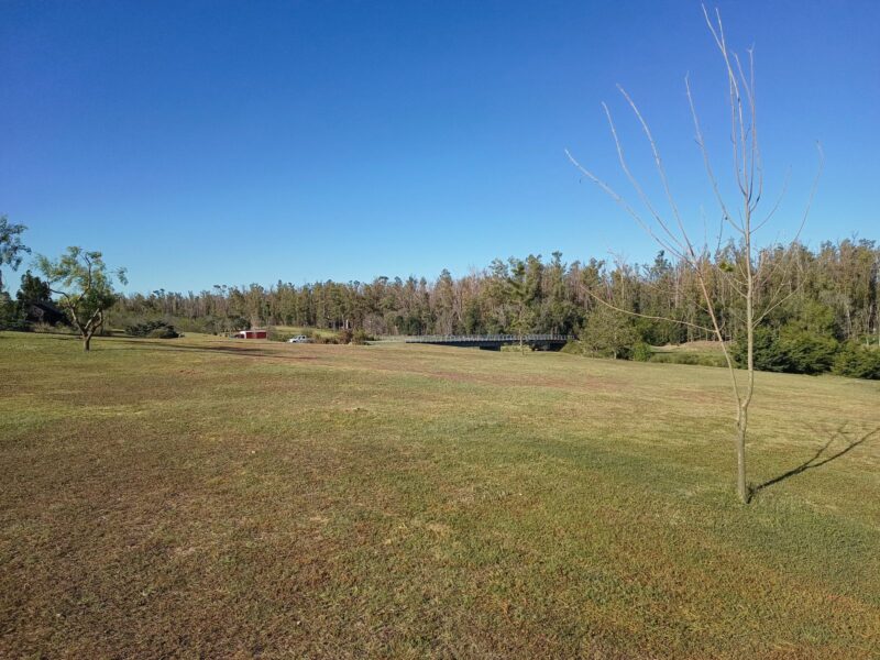 Campo Timbo · Oliveros · Terreno · Venta