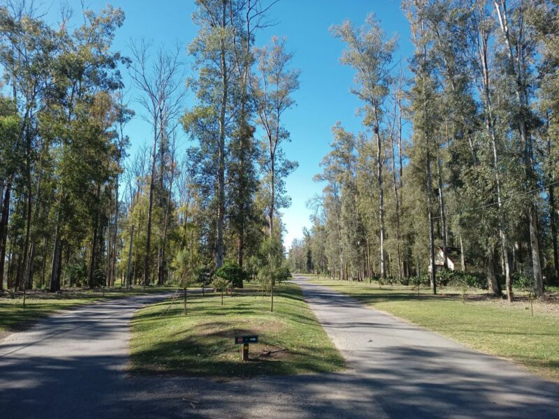 Campo Timbo · Oliveros · Terreno · Venta
