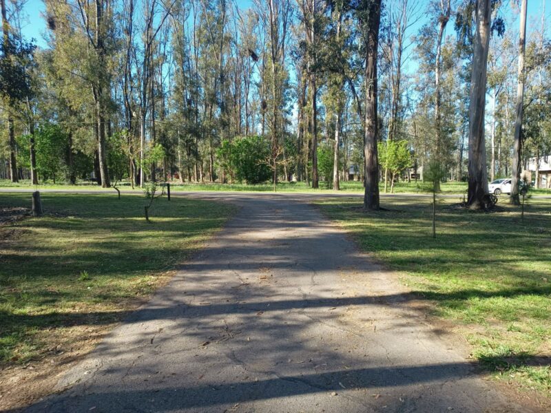 Campo Timbo · Oliveros · Terreno · Venta