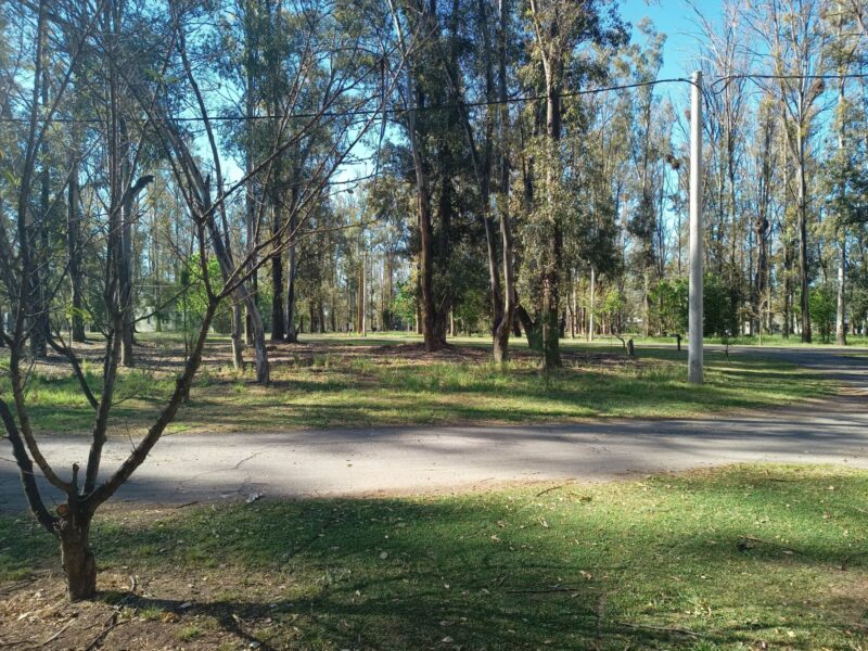 Campo Timbo · Oliveros · Terreno · Venta