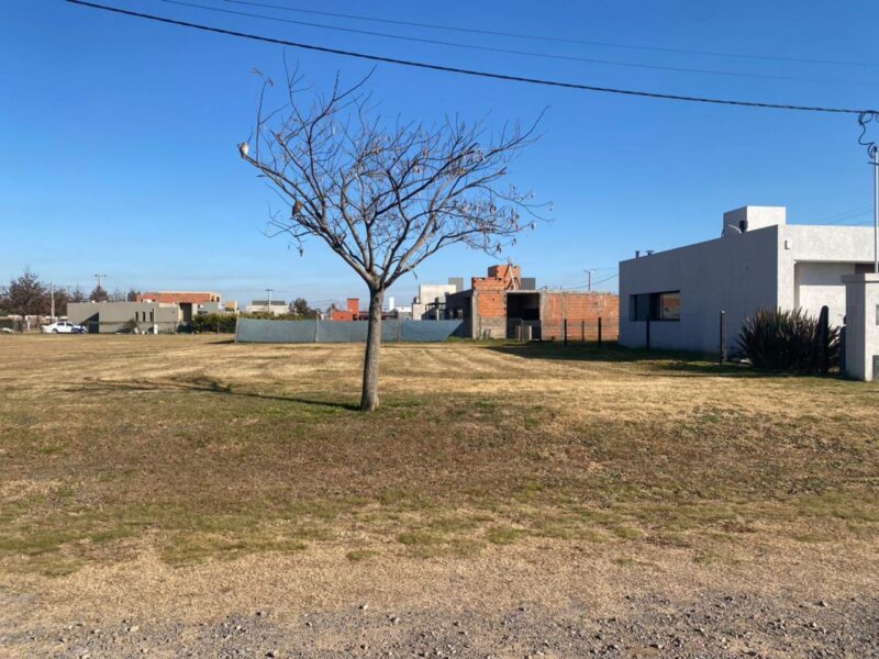 Las Casuarinas · Ibarlucea · Terreno · Venta