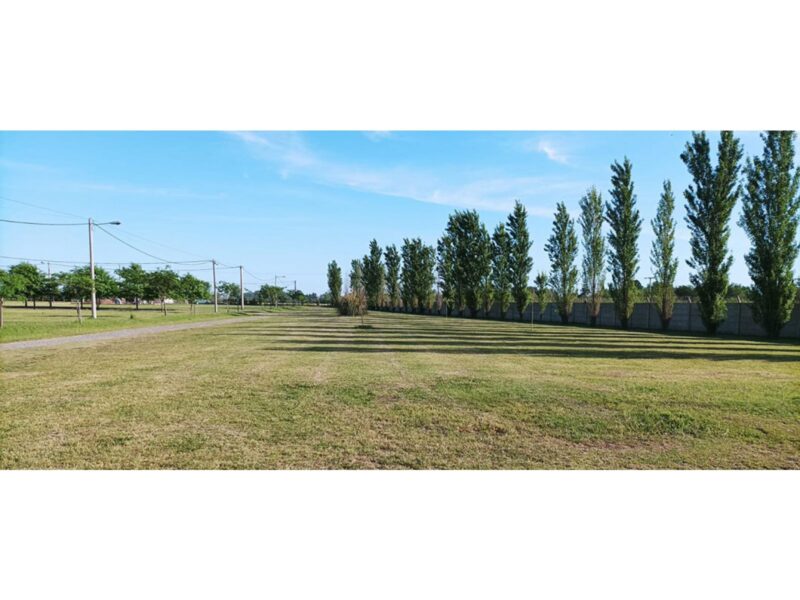 Las Casuarinas · Ibarlucea · Terreno · Venta